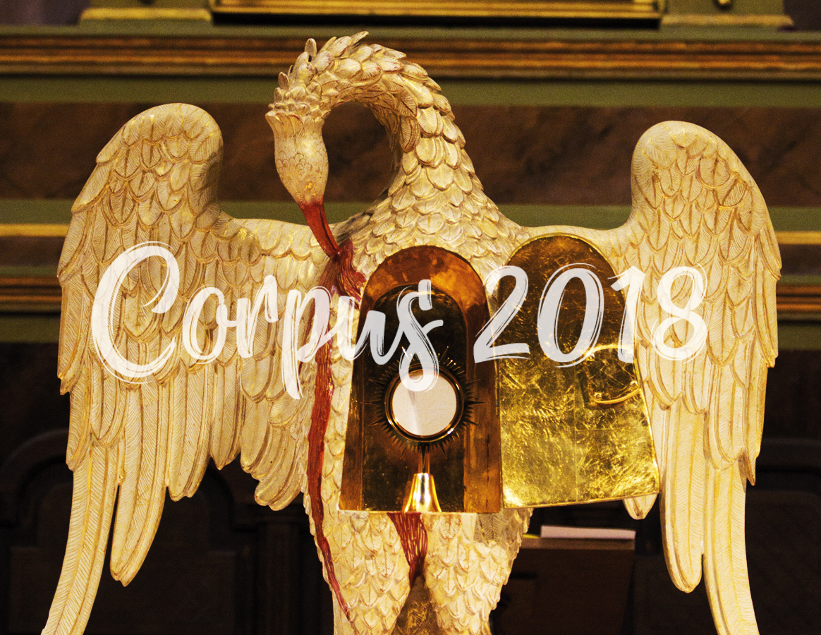 Corpus Christi 2018: tu compromiso mejora el mundo