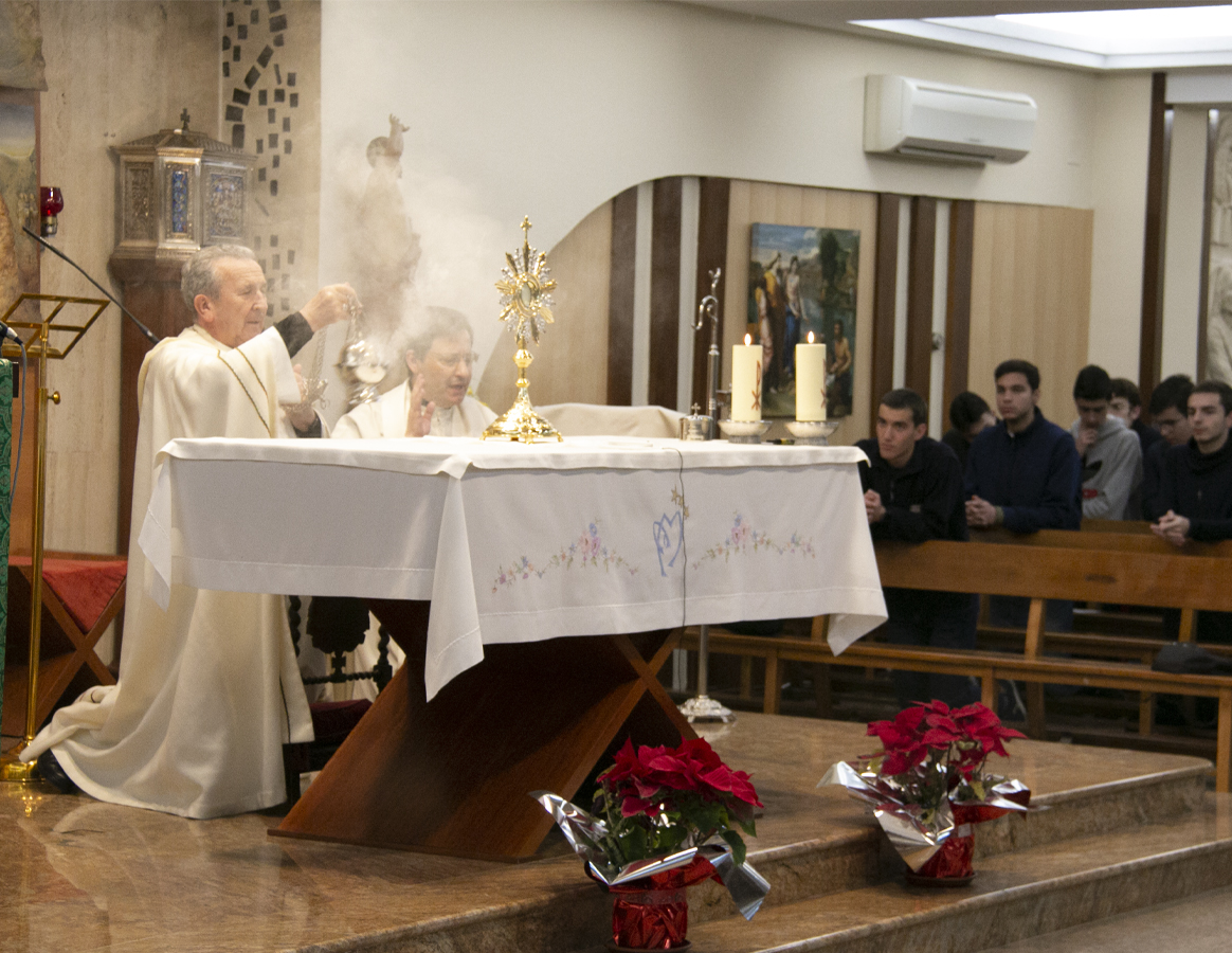 6 al 11 de febrero: oración por las vocaciones sacerdotales