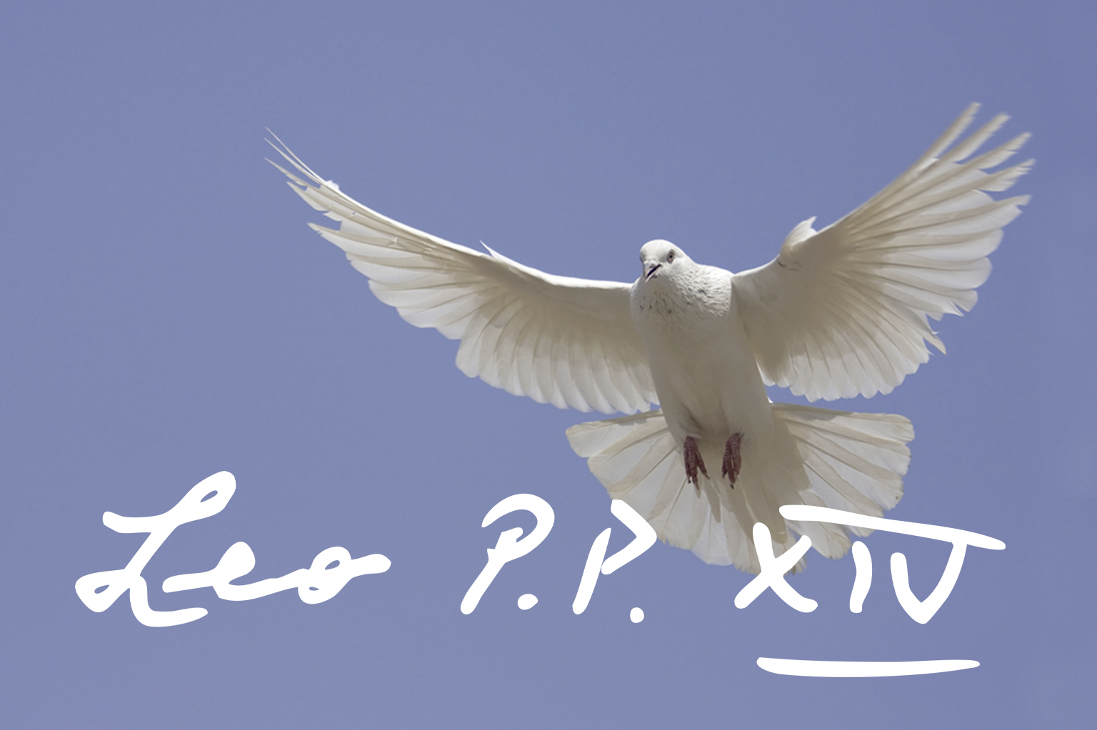 Hacia una paz «desarmada y desarmante»