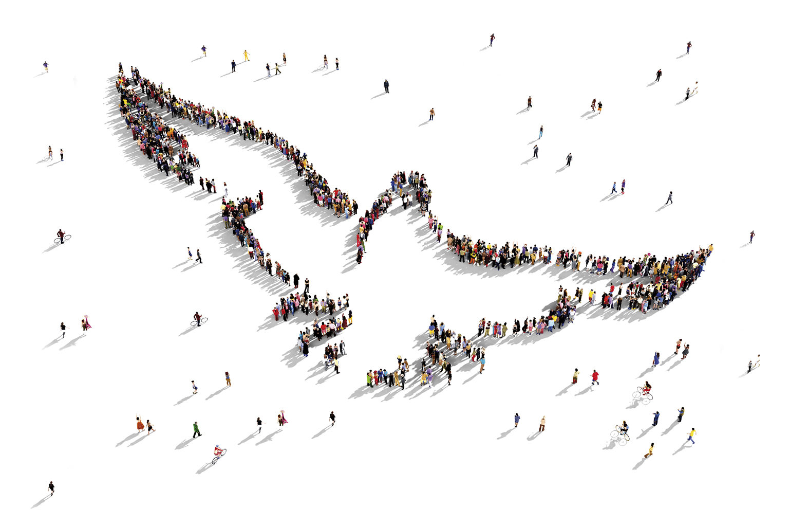 Cuestionario para el Plan Diocesano de Pastoral